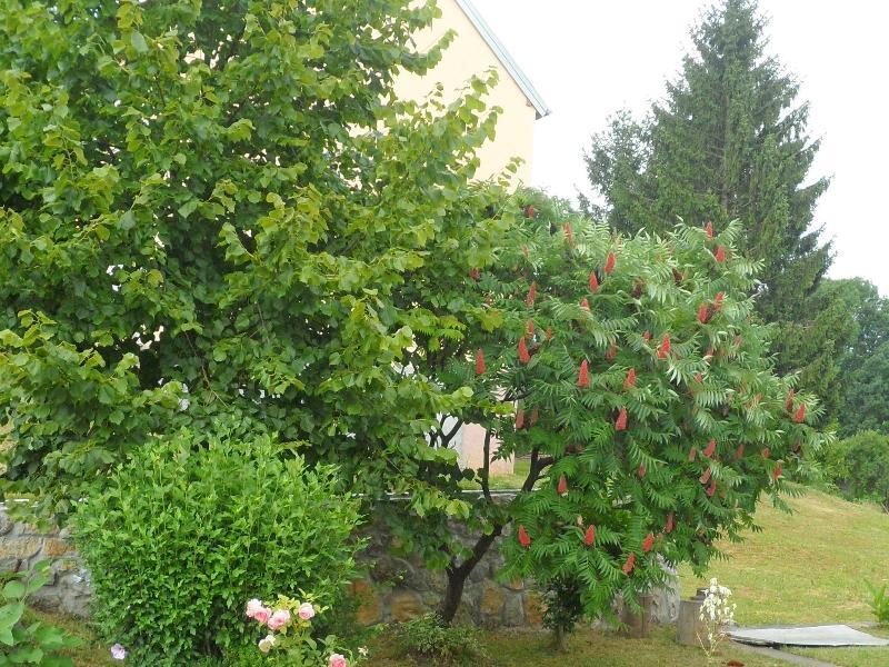 Apartment Rendulic Rakovica Bagian luar foto